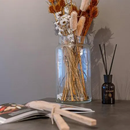 Perfectly Appointed In The Center Of Near The Beach Apartment Ostend